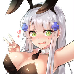 This is a pixiv picture whose title is hk416.