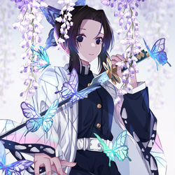 This is a pixiv picture whose title is 胡蝶しのぶ.
