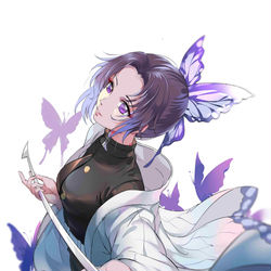 This is a pixiv picture whose title is 忍~.