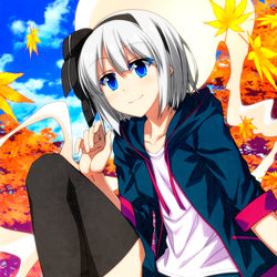 This is a pixiv picture whose title is 秋のパーカー妖夢ちゃん！.