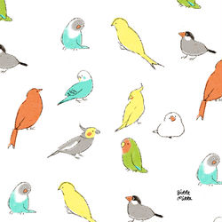 This is a pixiv picture whose title is 小鳥.