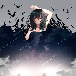 This is a pixiv picture whose title is The morning star.