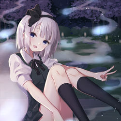 This is a pixiv picture whose title is 妖夢.