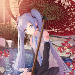 This is a pixiv picture whose title is 鯉一跳.