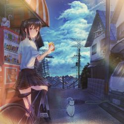 This is a pixiv picture whose title is いつもとは違う道.