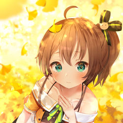 This is a pixiv picture whose title is 秋色まつりちゃん.