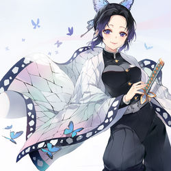 This is a pixiv picture whose title is 胡蝶しのぶ.