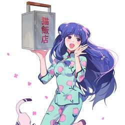 This is a pixiv picture whose title is らんま1/2　シャンプー.