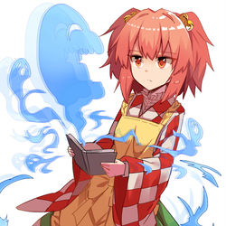 This is a pixiv picture whose title is 小鈴と妖魔本.