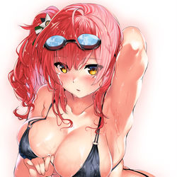 This is a pixiv picture whose title is 水着ザラ.