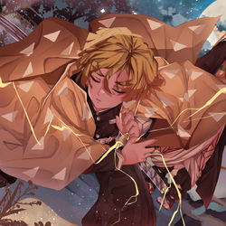 This is a pixiv picture whose title is 「禰豆子ちゃんは俺が守る」.