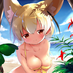 This is a pixiv picture whose title is ビーチフェネック.
