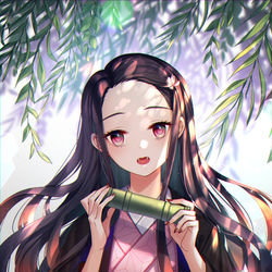 This is a pixiv picture whose title is 禰豆子.