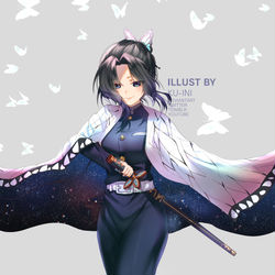 This is a pixiv picture whose title is Shinobu.