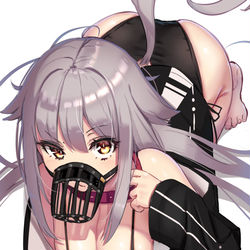 This is a pixiv picture whose title is 狂犬.