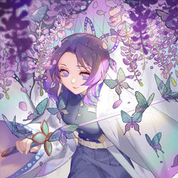 This is a pixiv picture whose title is Shinobu.