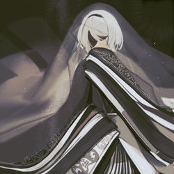 This is a pixiv picture whose title is 2b.