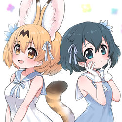 This is a pixiv picture whose title is ワンピさーかば.