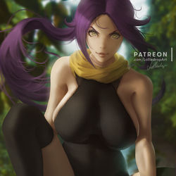 This is a pixiv picture whose title is Yoruichi.