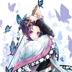 This is a pixiv picture whose title is 胡蝶しのぶ.