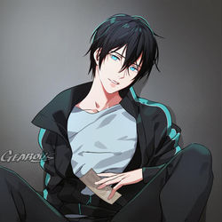 This is a pixiv picture whose title is ノラガミ.