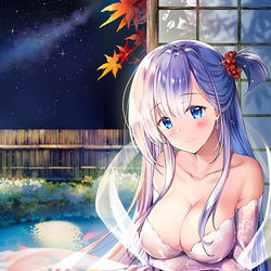 This is a pixiv picture whose title is 秋翔鶴.