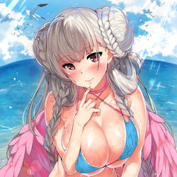 This is a pixiv picture whose title is 水着フォーミダブル.
