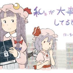 This is a pixiv picture whose title is 【秋例・紅楼夢新刊告知】私が大事にしてるもの【サンプル】.