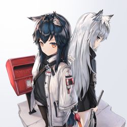 This is a pixiv picture whose title is 双狼.