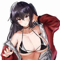 This is a pixiv picture whose title is 大鳳.