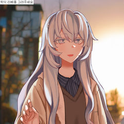 This is a pixiv picture whose title is (ง •̀_•́)ง.
