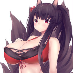 This is a pixiv picture whose title is 赤城.