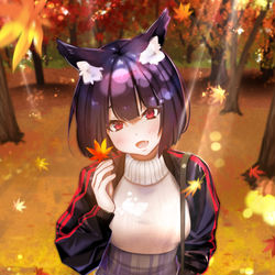 This is a pixiv picture whose title is 秋の山城ちゃん.