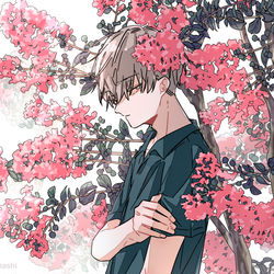 This is a pixiv picture whose title is サルスベリ.