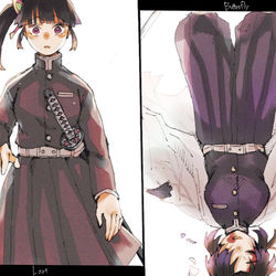 This is a pixiv picture whose title is 蝶.