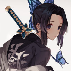 This is a pixiv picture whose title is 滅.