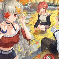 This is a pixiv picture whose title is 秋の庭.