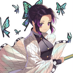 This is a pixiv picture whose title is 胡蝶しのぶ.