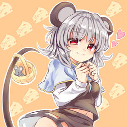 This is a pixiv picture whose title is 履き忘れたナズーリン.