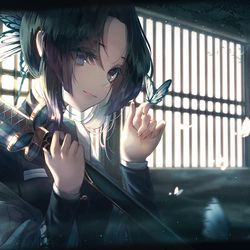 This is a pixiv picture whose title is 🦋.