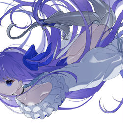 This is a pixiv picture whose title is 白鳥.