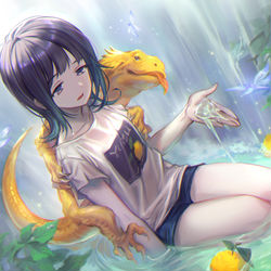 This is a pixiv picture whose title is ドカゲとゆず.