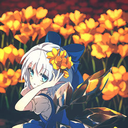 This is a pixiv picture whose title is フリージア.