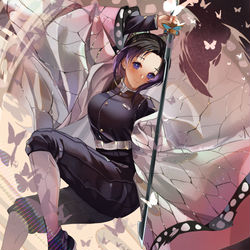 This is a pixiv picture whose title is 胡蝶しのぶ.