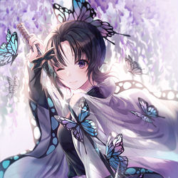 This is a pixiv picture whose title is 蝶.
