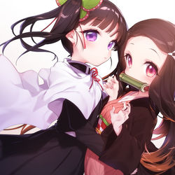 This is a pixiv picture whose title is お気に入り鬼滅女子.