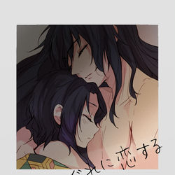 This is a pixiv picture whose title is 蝶はしぐれに恋する.