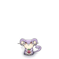 This is a pixiv picture whose title is おともだちになりたいコラッタ.