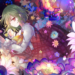 This is a pixiv picture whose title is 幽香ちゃん.