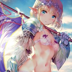 This is a pixiv picture whose title is エルフ姫騎士.